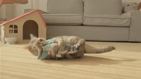 Dansende Vis Kat Speelgoed