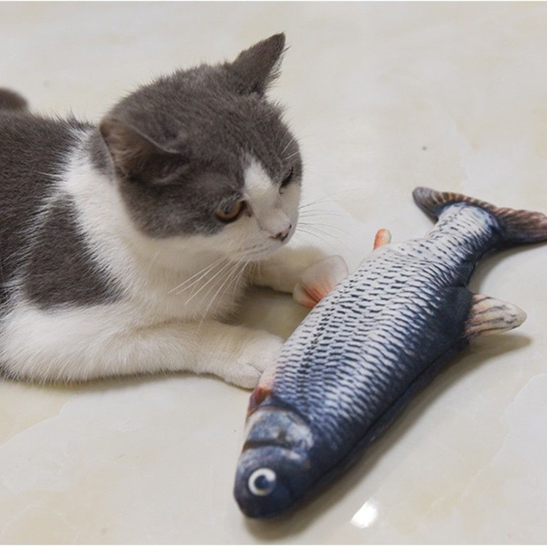 Dansende Vis Kat Speelgoed