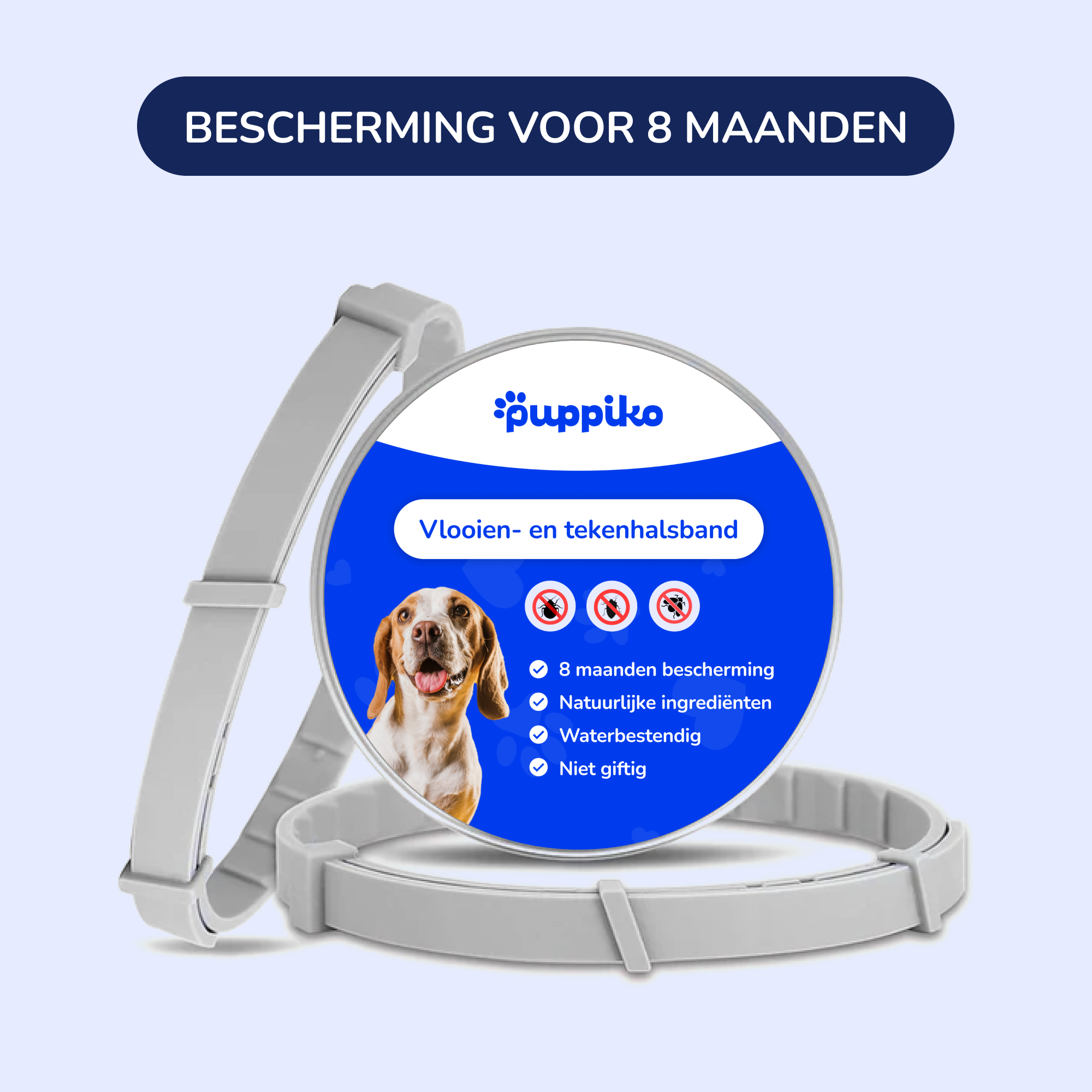 8 Maanden Vlooien- en Tekenvrij