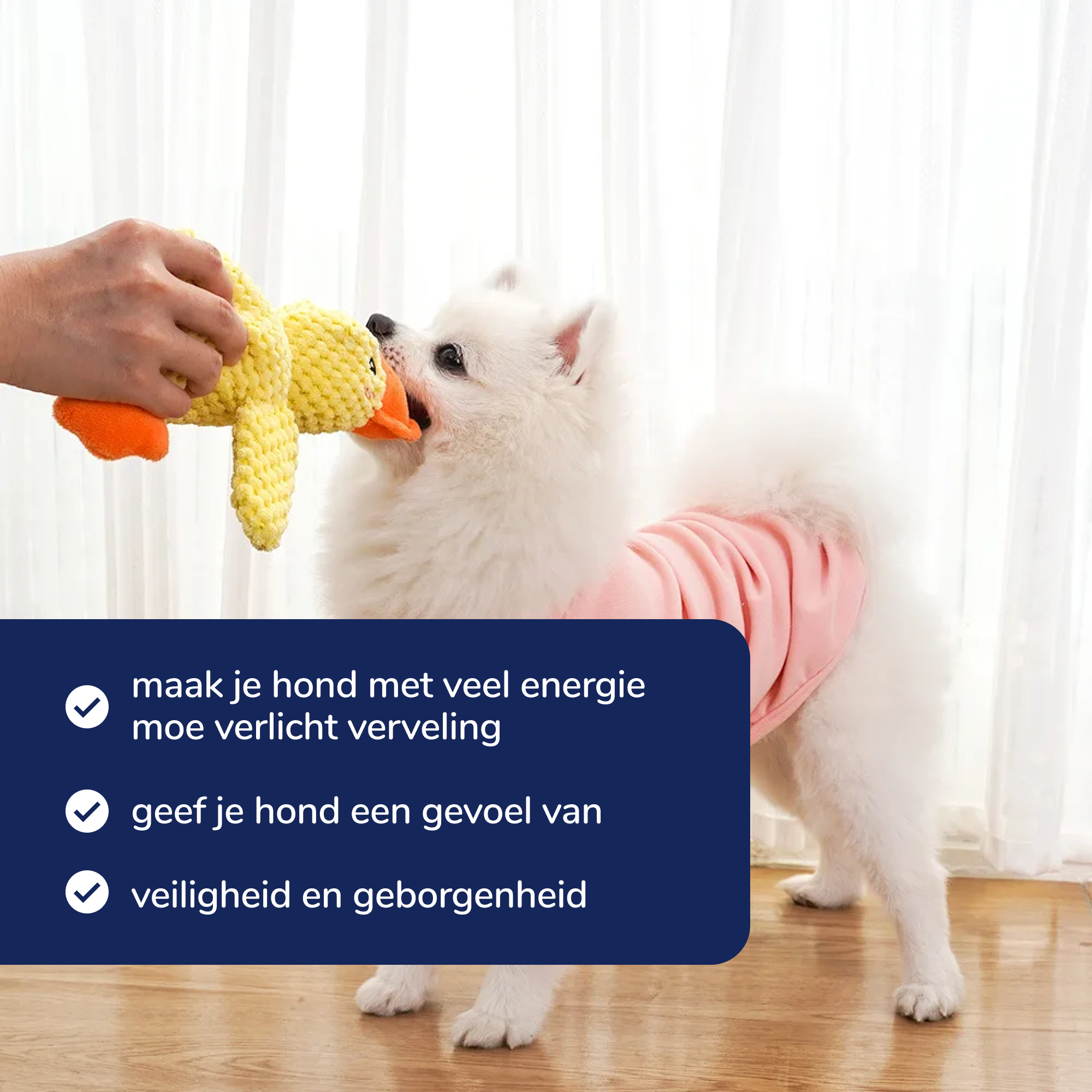 Rustgevende Eend
