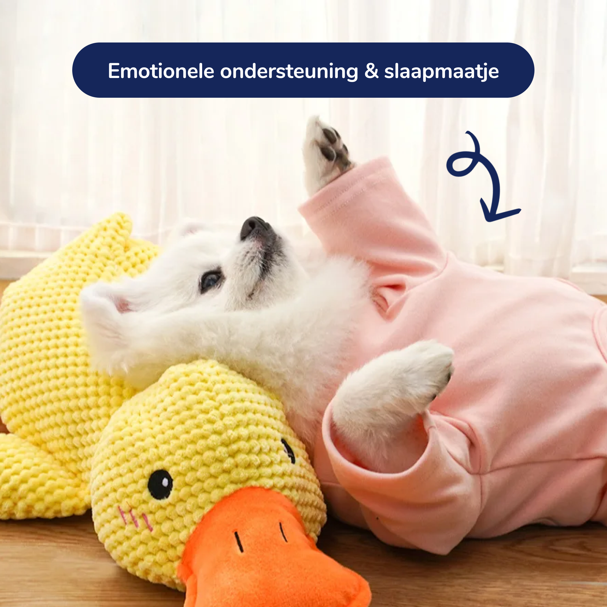 Rustgevende Eend