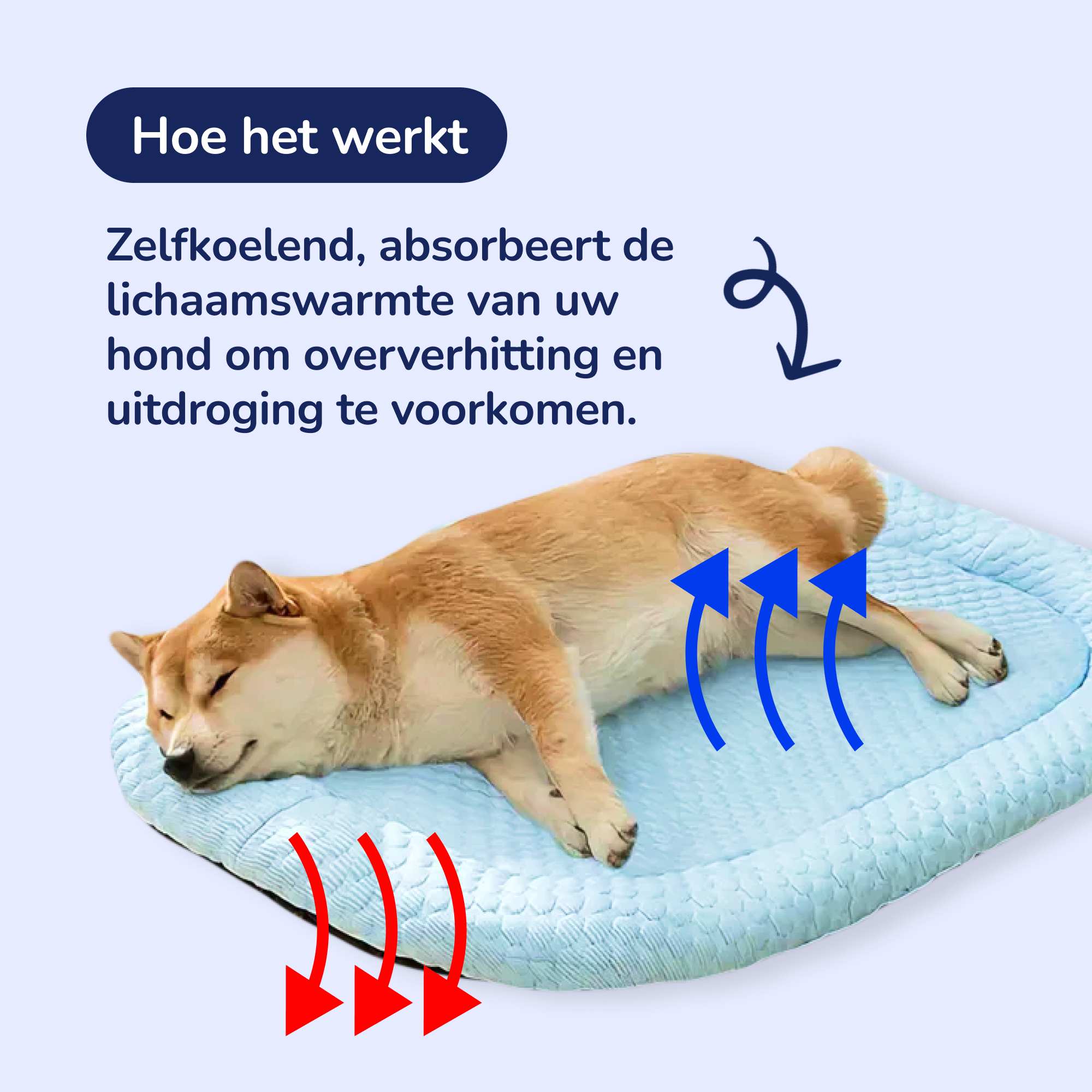 Koelende Hondenbed