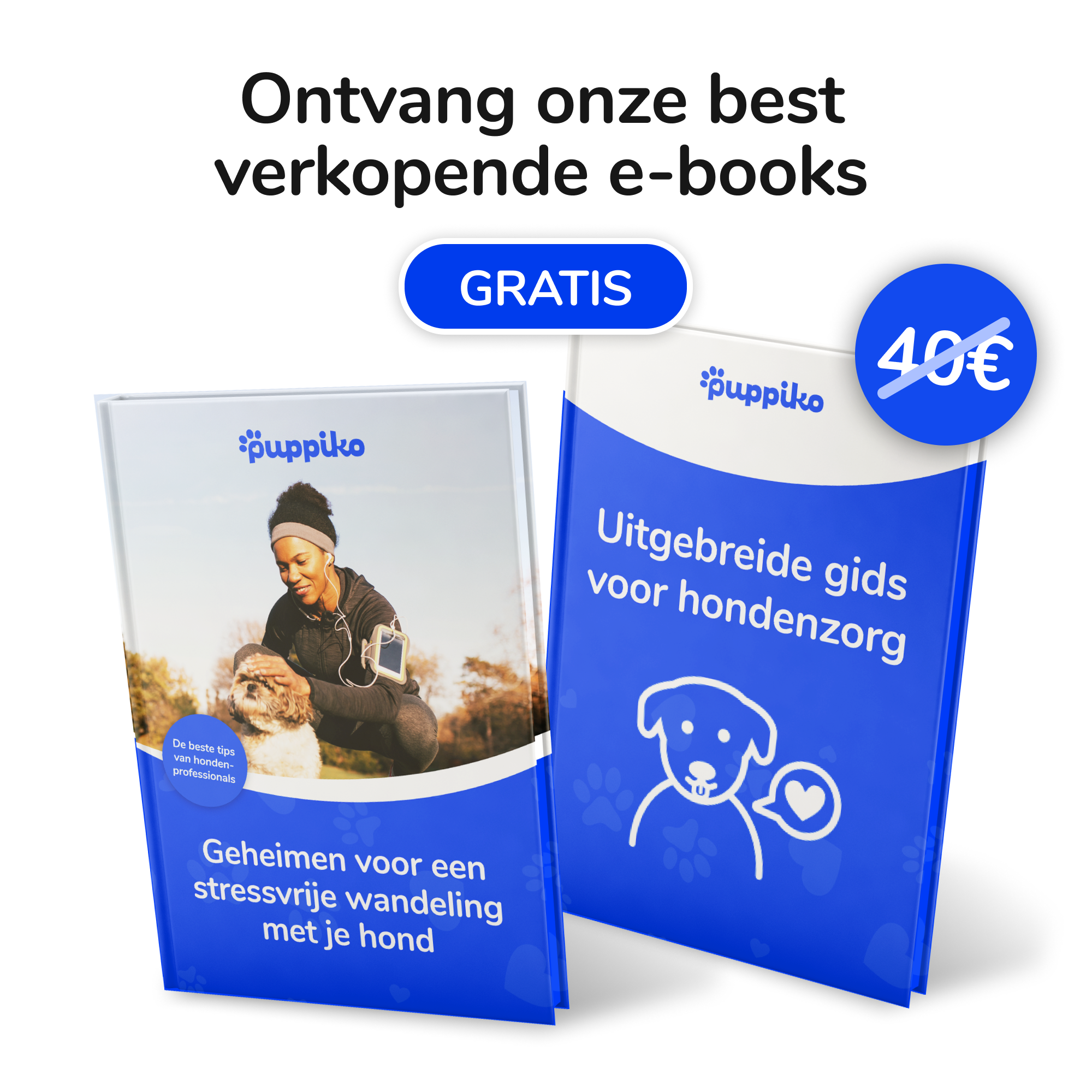 Dansende Vis Kat Speelgoed