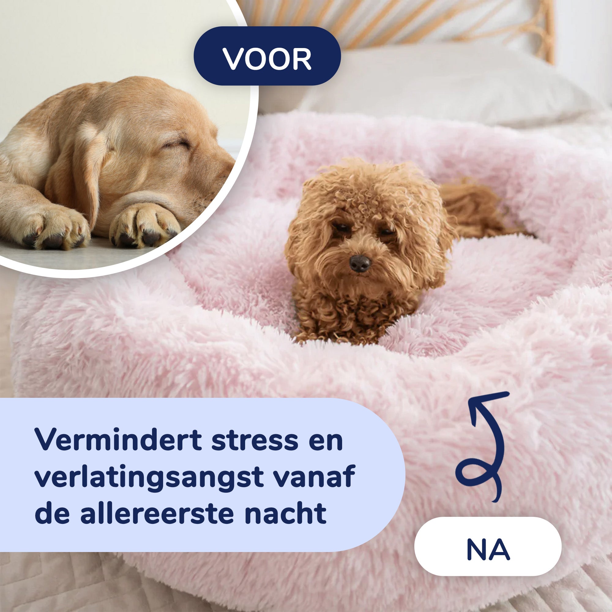 Kalmerend Hondenbed