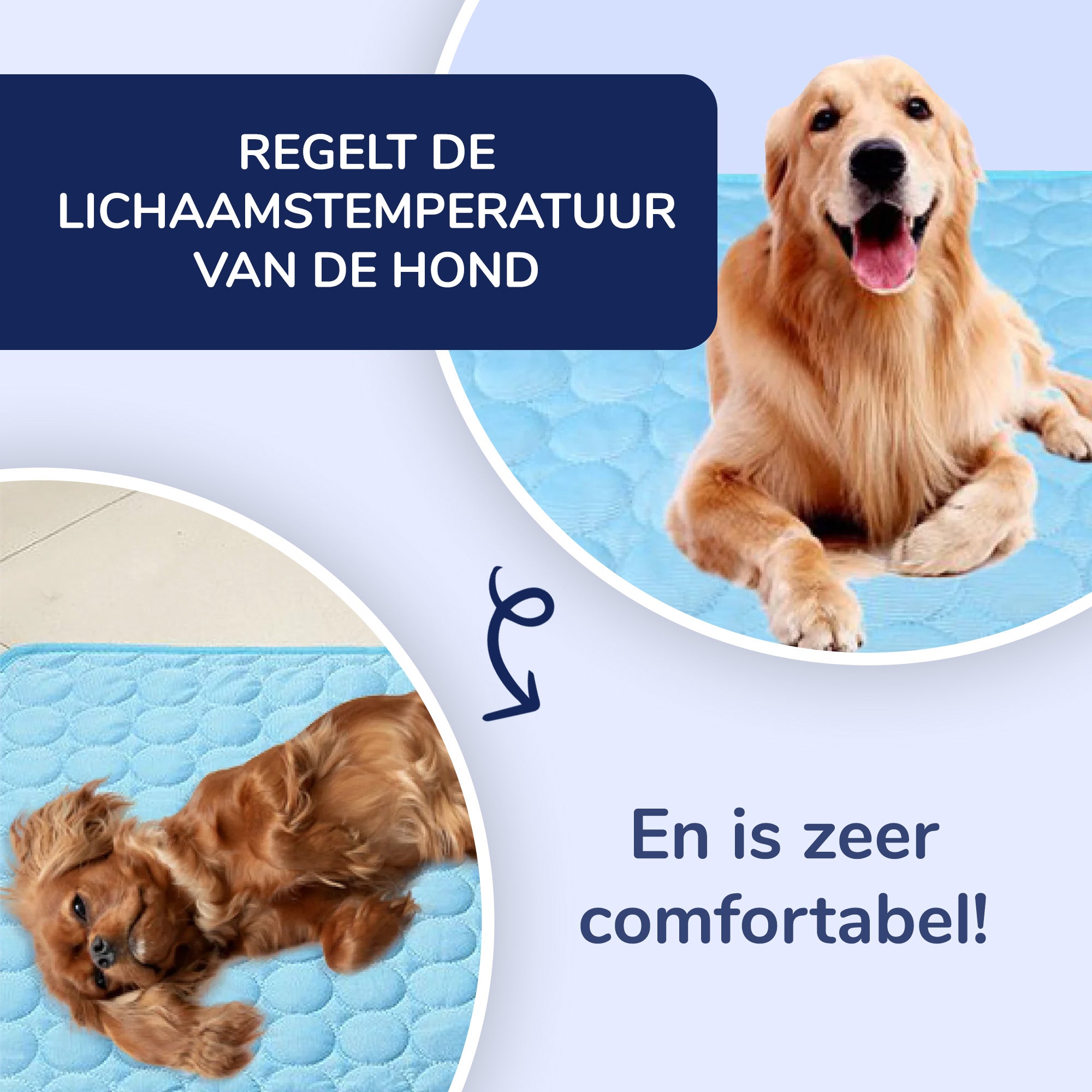Premium Koelmat voor Honden